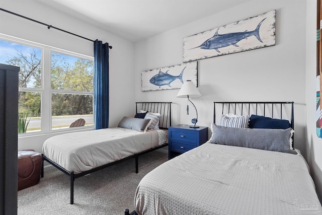 4704 Eider Rd, Pace, FL 32571 - carpeted bedroom with multiple windows