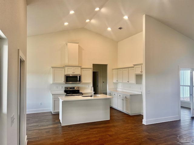 4420 Russell Elliott Rd, Jay, FL 32565 - kitchen with stainless steel appliances, high vaulted ceiling, baseboards, a sink, and dark wood finished floors