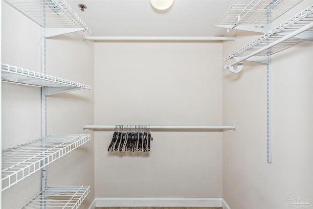 view of walk in closet