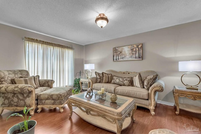 living room featuring a textured ceiling and hardwood / wood-style flooring