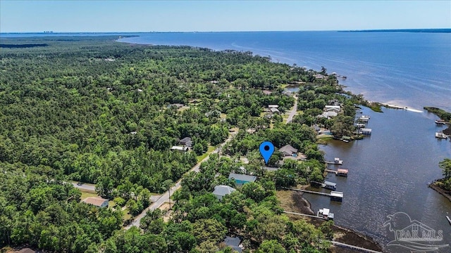 1948 Tanbark Dr, Milton, FL 32583 - drone / aerial view of a nearby body of water and a forest