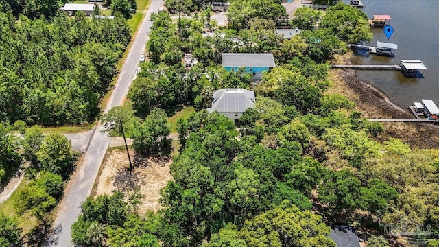1948 Tanbark Dr, Milton, FL 32583 - aerial view of a large body of water