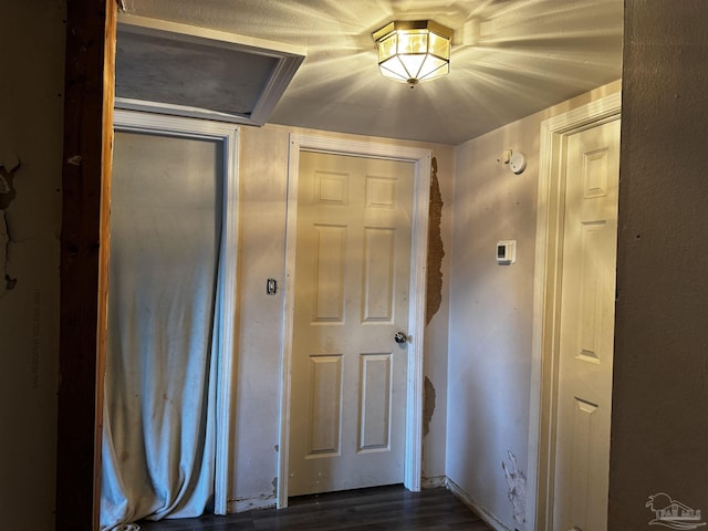 hallway with dark wood-type flooring