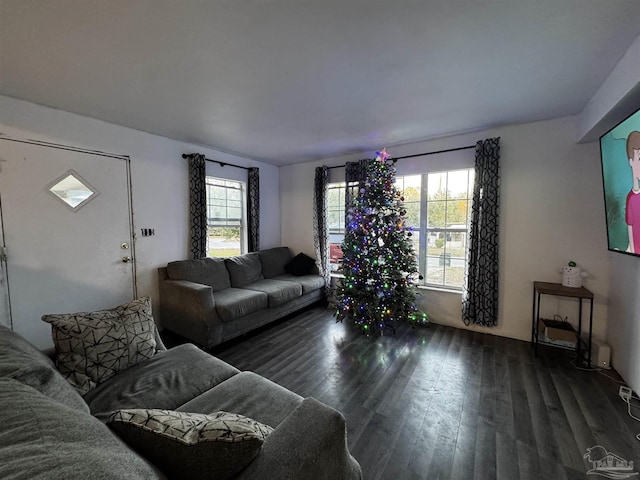 living room featuring dark hardwood / wood-style floors