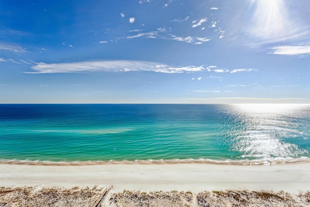 water view featuring a beach view
