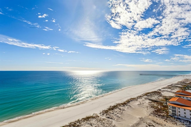 property view of water featuring a view of the beach