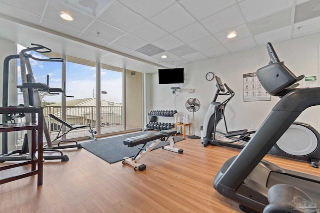 exercise room with a drop ceiling, hardwood / wood-style floors, and floor to ceiling windows