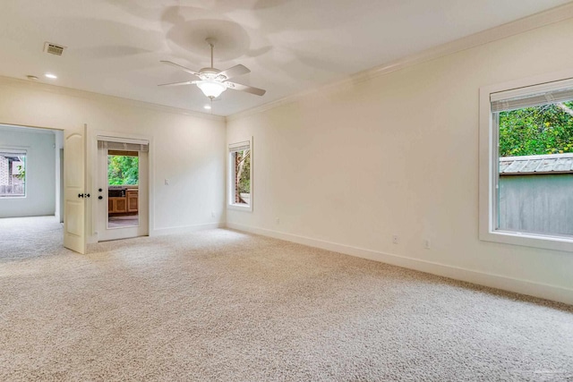 spare room featuring plenty of natural light, ceiling fan, carpet floors, and ornamental molding