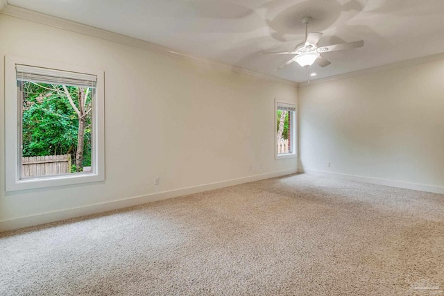 empty room featuring carpet flooring, ceiling fan, and ornamental molding