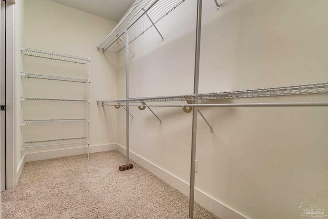 walk in closet with light carpet