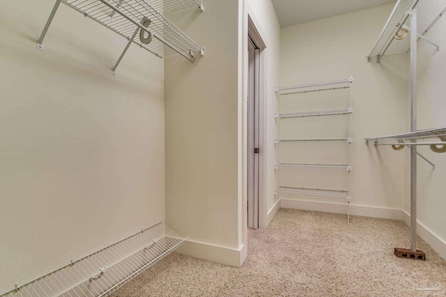 spacious closet with light carpet