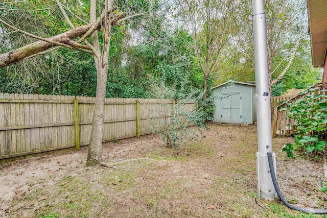 view of yard with a shed