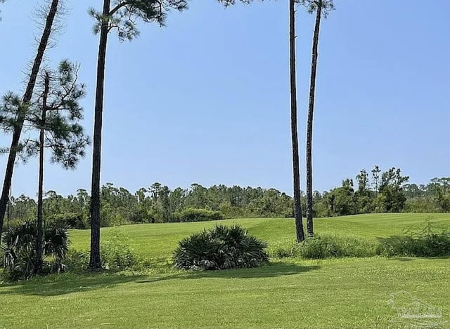 view of landscape