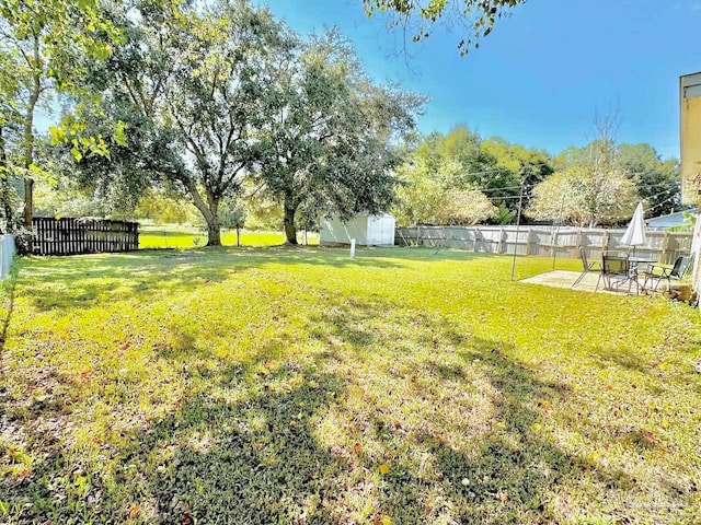 view of yard featuring a patio