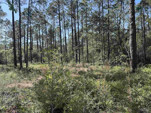 N14TH Ave Ave, Milton, FL 32570