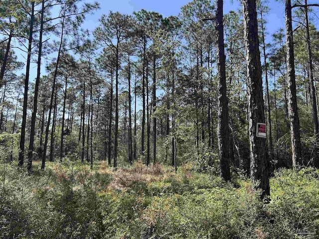 N14TH Ave Ave, Milton, FL 32570