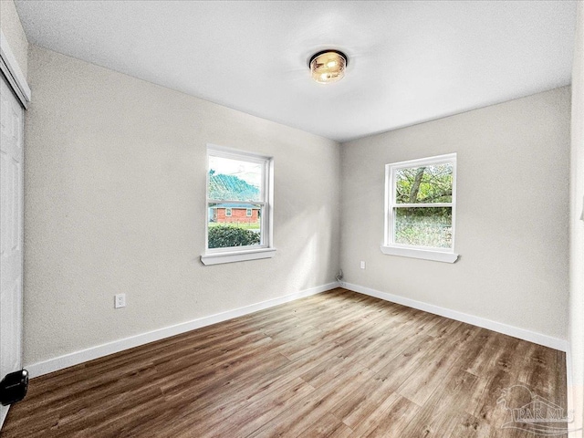 empty room featuring light wood-type flooring and plenty of natural light