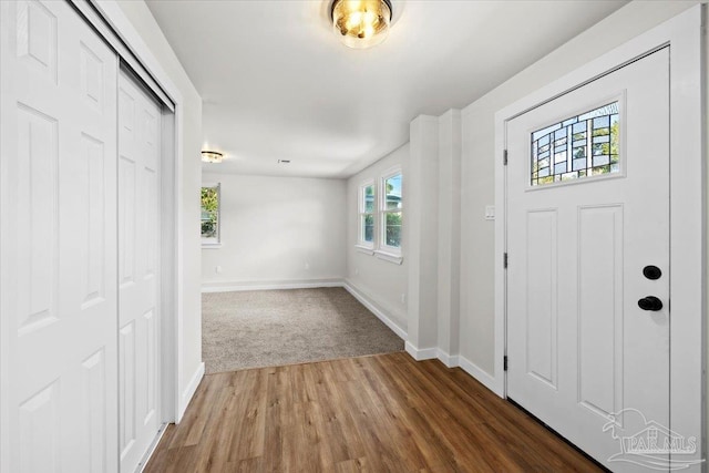 foyer with dark wood-type flooring