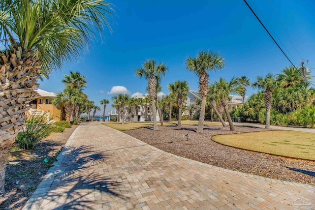 view of community featuring a lawn