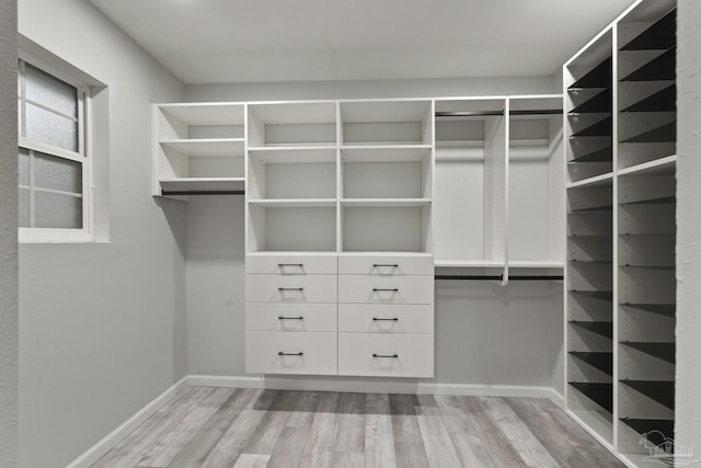 walk in closet with light hardwood / wood-style flooring