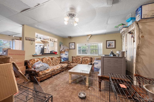 carpeted living room with a drop ceiling and ceiling fan