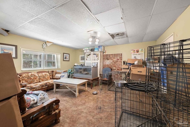 living room with ceiling fan, carpet floors, and a drop ceiling