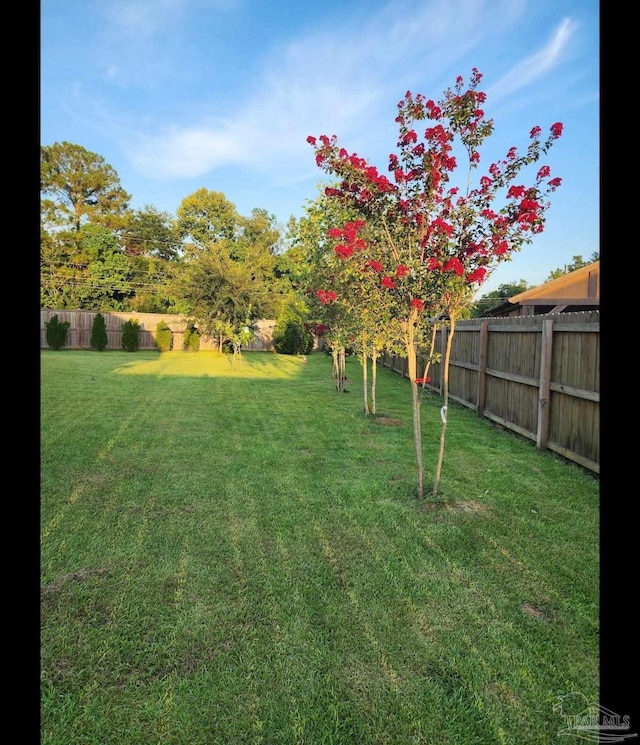 view of yard featuring a fenced backyard