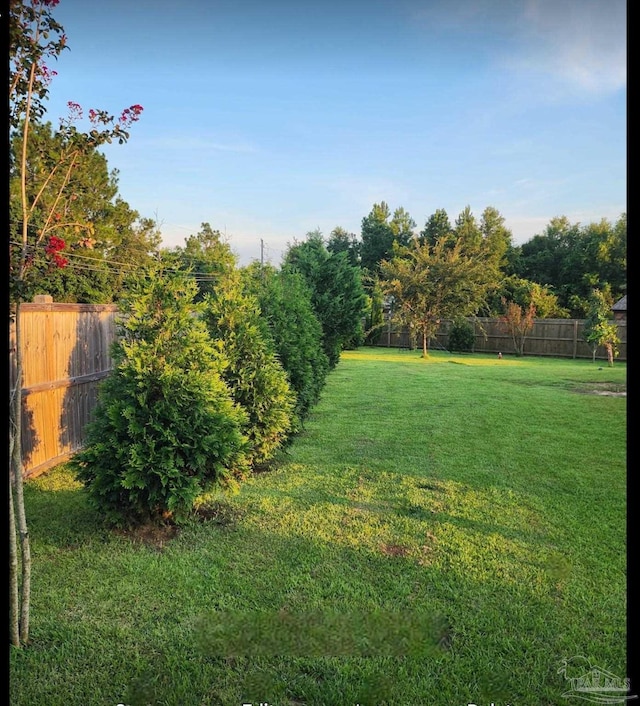 view of yard featuring a fenced backyard