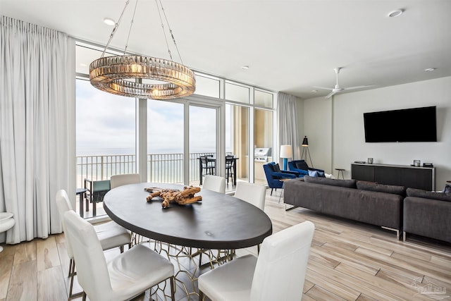 dining room with ceiling fan, floor to ceiling windows, and light wood-type flooring