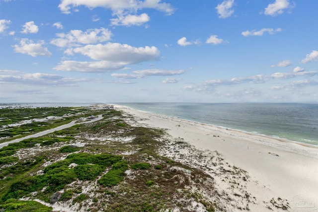 water view featuring a beach view