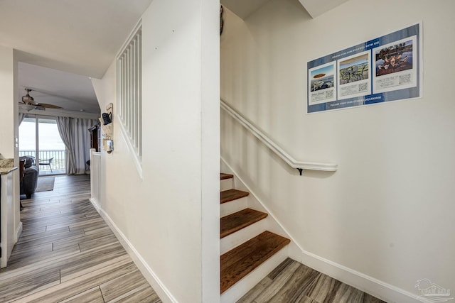 stairway featuring hardwood / wood-style floors and ceiling fan