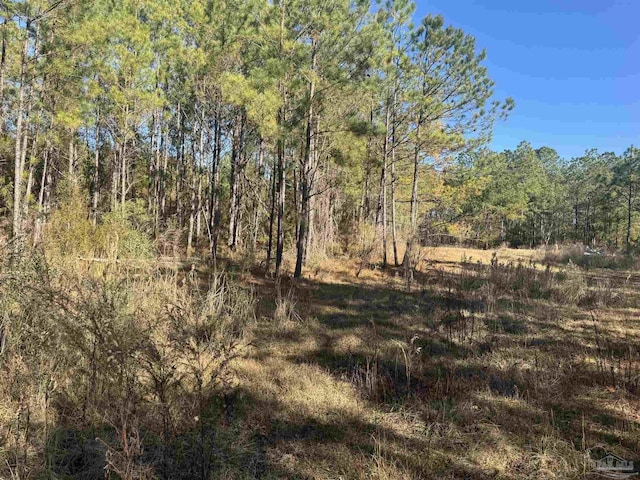 002 Oil Well Rd, Flomaton AL, 36441 land for sale