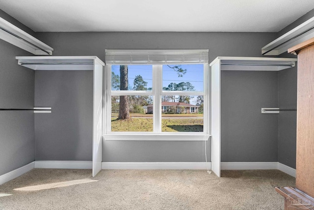 walk in closet featuring carpet