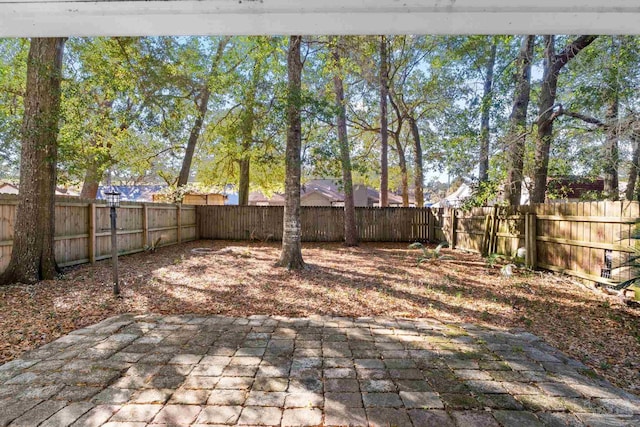 view of yard featuring a patio area