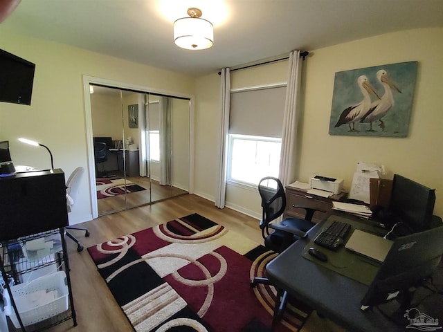 home office featuring hardwood / wood-style floors