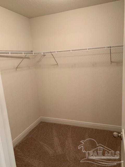 spacious closet featuring carpet