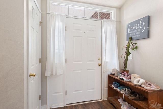 entrance foyer with dark hardwood / wood-style flooring