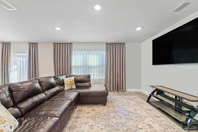 living room with a healthy amount of sunlight, a textured ceiling, and light hardwood / wood-style flooring