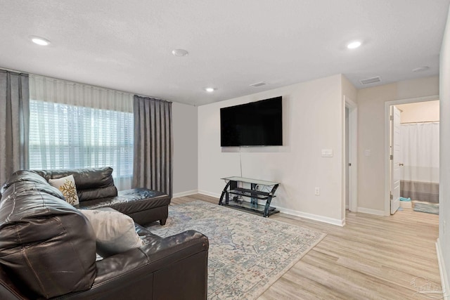 living room featuring light hardwood / wood-style flooring