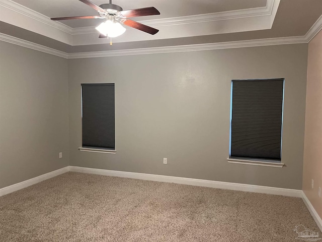 spare room featuring a raised ceiling, ornamental molding, and carpet flooring