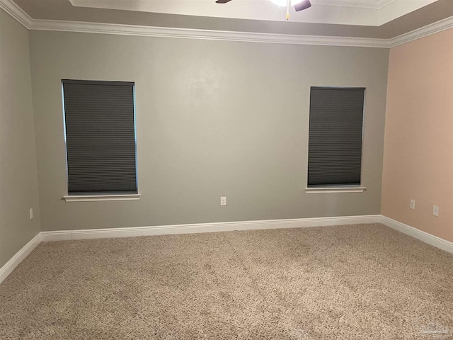 carpeted empty room with crown molding, ceiling fan, and a raised ceiling