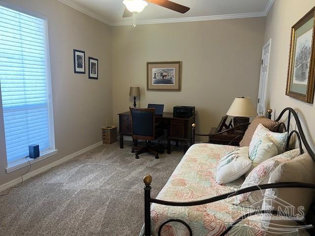 office featuring ceiling fan, carpet flooring, and crown molding