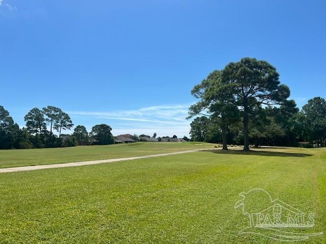 view of community with a lawn