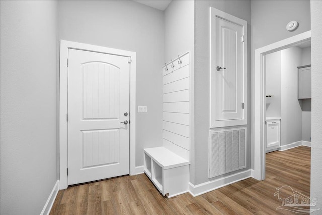 mudroom featuring wood-type flooring