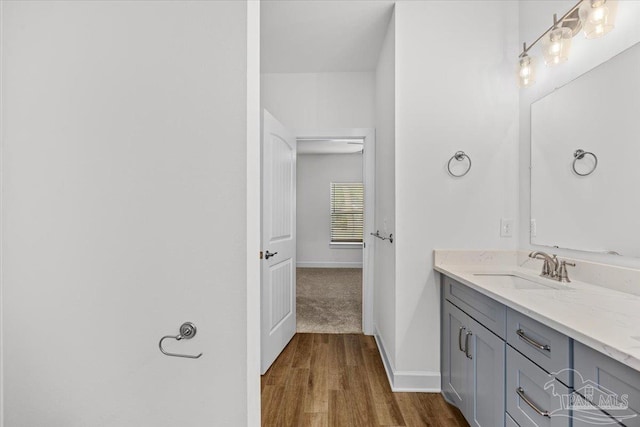 bathroom featuring wood-type flooring and vanity