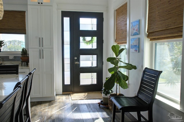 entryway featuring wood finished floors