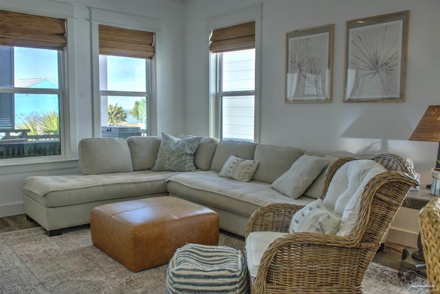 living area with wood finished floors