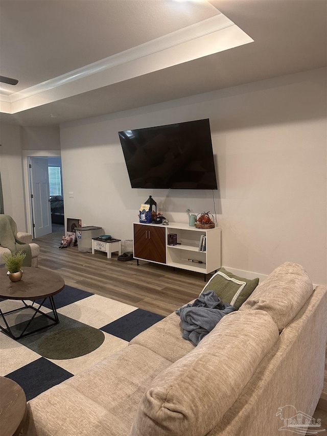 living room with a tray ceiling and dark hardwood / wood-style flooring