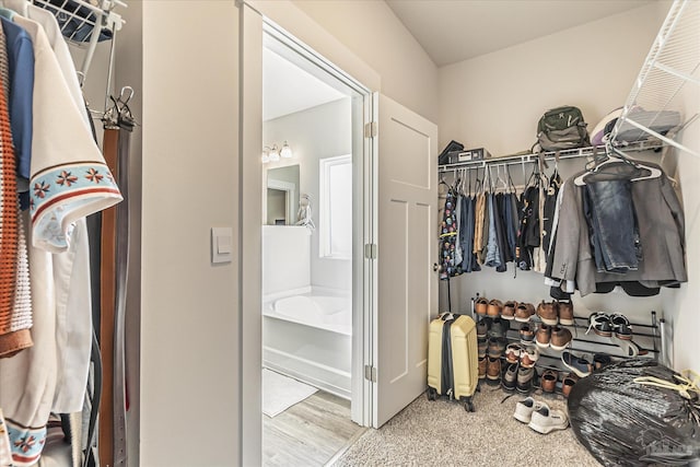 view of spacious closet