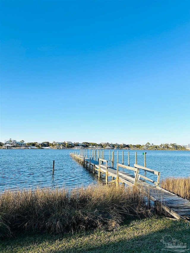 dock area with a water view